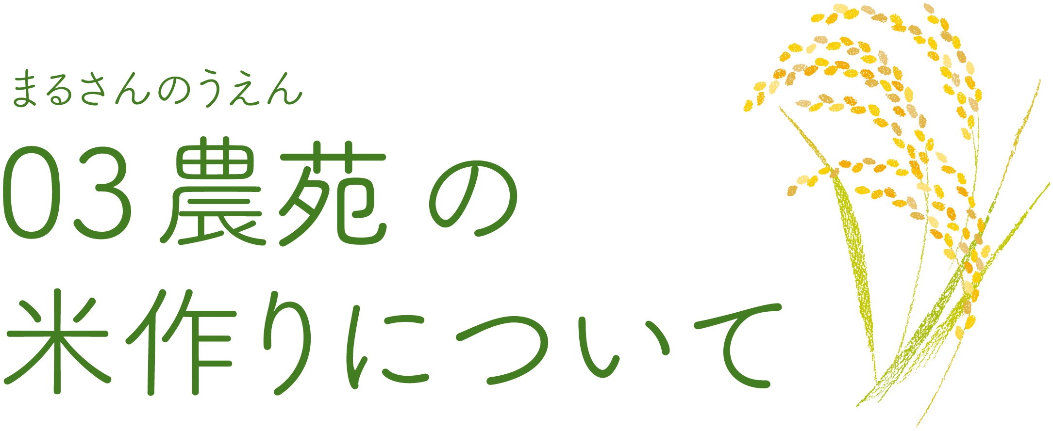 03農苑の米作りについて