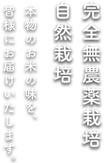 完全無農薬栽培・自然栽培本物のお米の味を、皆様にお届けいたします。